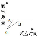 图片_x0020_100005
