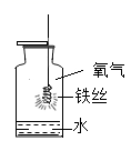 图片_x0020_100016