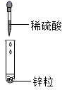 图片_x0020_2074347058