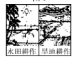 图片_x0020_100005