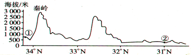 图片_x0020_100002