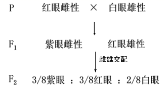图片_x0020_100021