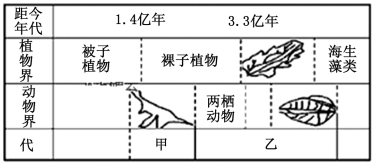 图片_x0020_100005