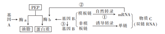 图片_x0020_100013