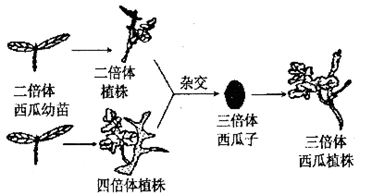 图片_x0020_100005