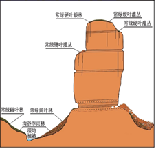 图片_x0020_100004