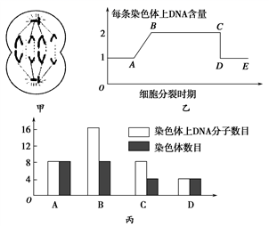 图片_x0020_100013