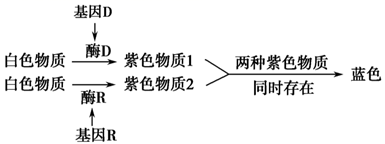 图片_x0020_100007