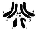 图片_x0020_100014