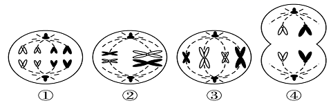 图片_x0020_100017