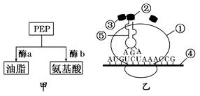 图片_x0020_100009