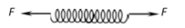 图片_x0020_100006