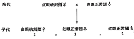 图片_x0020_100016