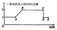 图片_x0020_100007
