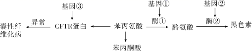 图片_x0020_100001