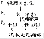 图片_x0020_100004