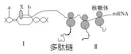 图片_x0020_100011