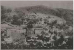 图片_x0020_100004