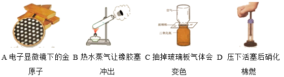 图片_x0020_100001