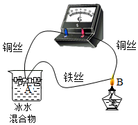 图片_x0020_100016