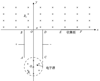 图片_x0020_38774564
