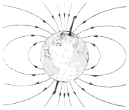 图片_x0020_100002