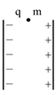 图片_x0020_100017