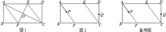 图片_x0020_100019