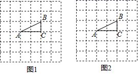 图片_x0020_100010