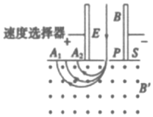 图片_x0020_100008