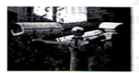 图片_x0020_100030