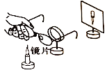 图片_x0020_1804538265