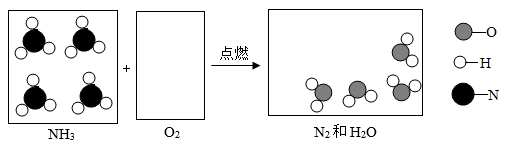 图片_x0020_2019644472