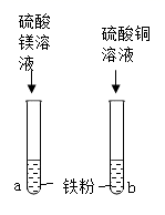 图片_x0020_853780955