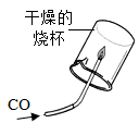 图片_x0020_1257182627