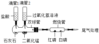 图片_x0020_1257737043