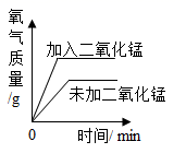 图片_x0020_1175830776