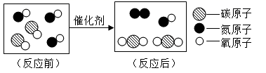 图片_x0020_1792312022