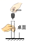 图片_x0020_100001