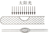 图片_x0020_100029