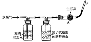 图片_x0020_100022