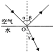 图片_x0020_100030