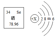 图片_x0020_100001