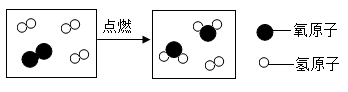 图片_x0020_1243254233