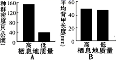 图片_x0020_100011