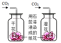 图片_x0020_1269092481