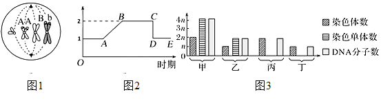 图片_x0020_100006
