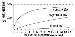 图片_x0020_100005