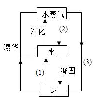 图片_x0020_100007