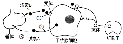 图片_x0020_1450492510